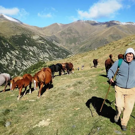 La Cabanya De Cal Forn De Serrat * Queralbs (Caralps)
